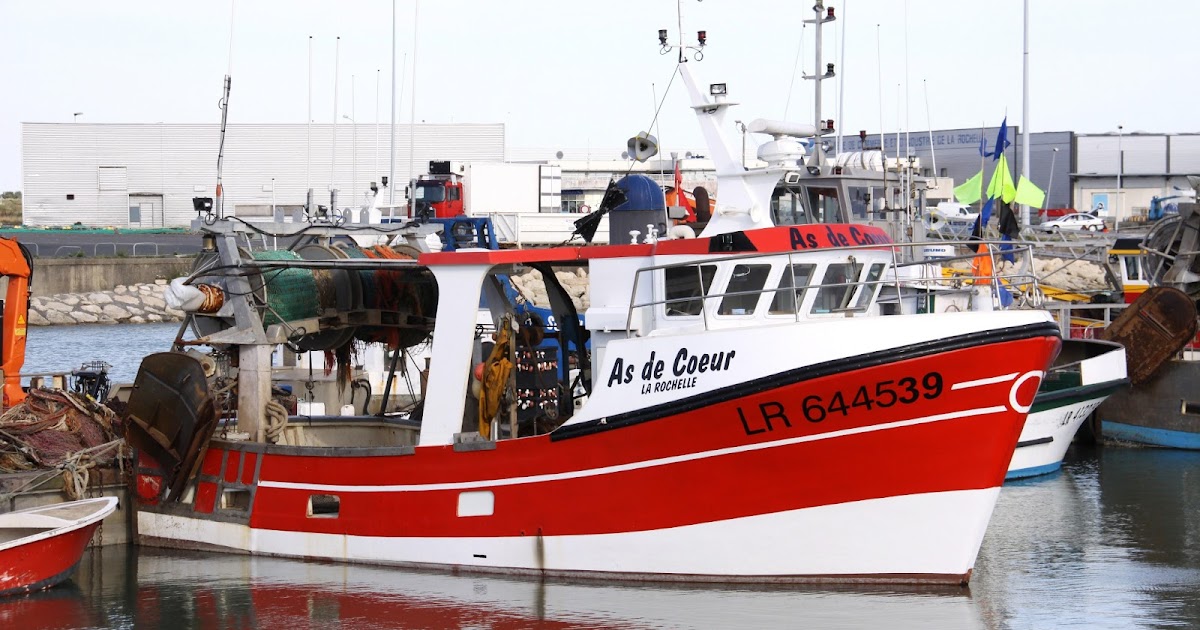 La pêche à litvinovo chtchelkovsky la région du prix des services